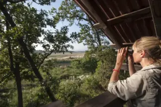Bird Watching in Nepal